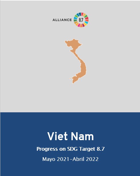 Cover Viet Nam progress report
