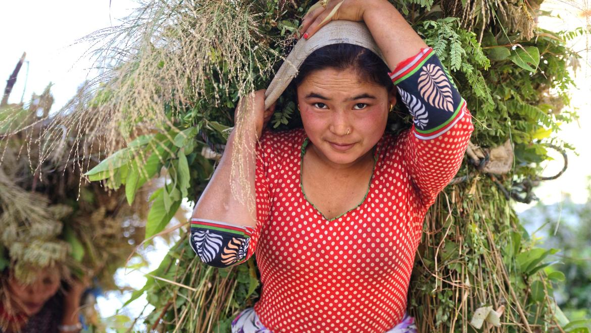 PFC Nepal Agriculture