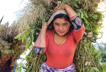 PFC Nepal Agriculture