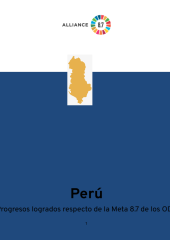 Peru PFC progress reports